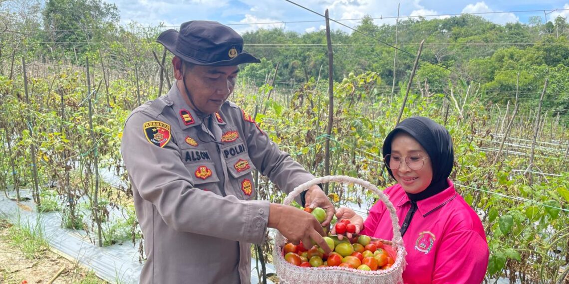 Polsek Tanjungpinang Kota Ubah Lahan Kosong Menjadi Perkebunan Produktif