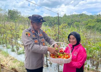 Polsek Tanjungpinang Kota Ubah Lahan Kosong Menjadi Perkebunan Produktif