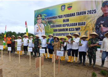 Kodim 0318 Natuna Siap Dukung Swasembada Pangan Program Pemerintah Pusat