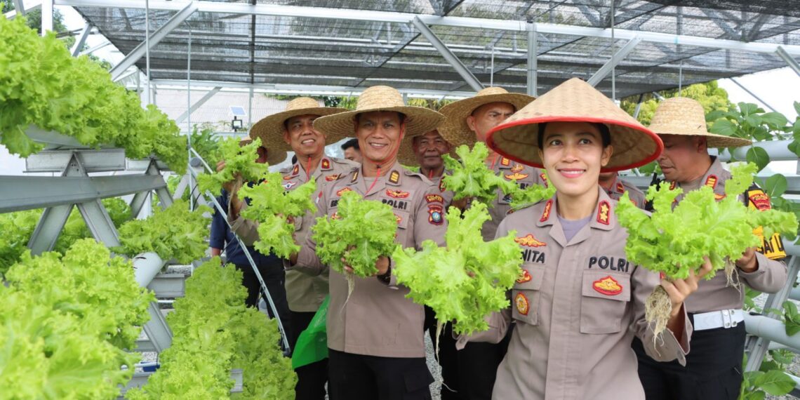 Polres Bintan Gelar Panen Raya Sayur Mayur Hidroponik