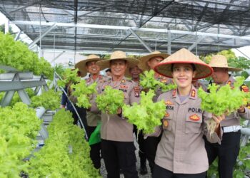 Polres Bintan Gelar Panen Raya Sayur Mayur Hidroponik
