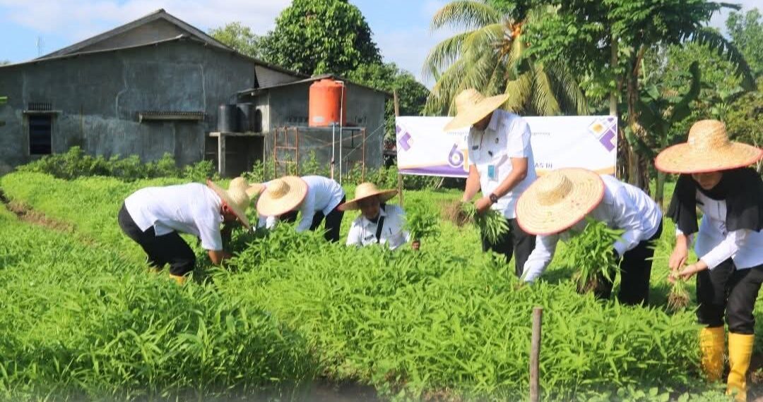 Lapas Tanjungpinang Sukseskan Program Pertanian , Warga Binaan Belajar Bercocok Tanam