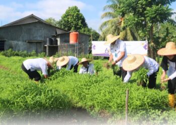 Lapas Tanjungpinang Sukseskan Program Pertanian , Warga Binaan Belajar Bercocok Tanam