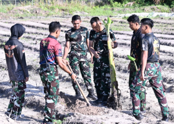 Bibit Pisang Kepok dan Ulin Warnai Program Ketahanan Pangan Lanud RSA Natuna