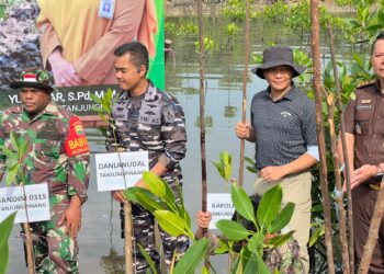 Ribuan Mangrove Ditanam, Kapolresta Tanjungpinang Turut Jaga Masa Depan Pesisir