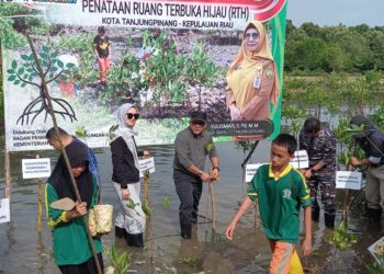 5.000 Mangrove Ditanam di Tanjungpinang, Wujud Nyata Edukasi dan Pelestarian Lingkungan
