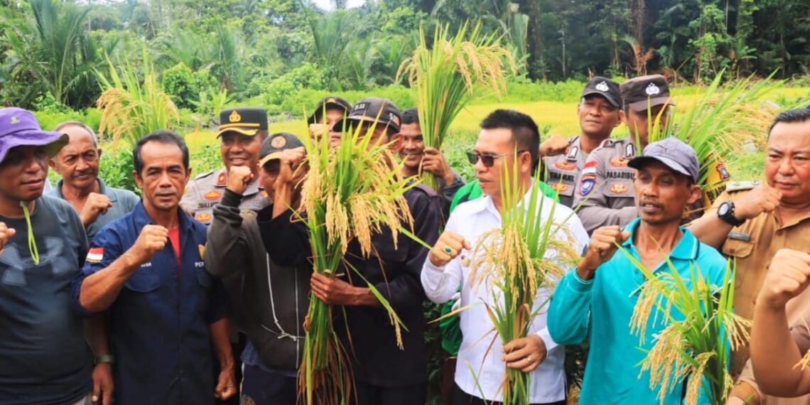 Dukung Ketahanan Pangan, Kapolres Hadiri Panen Raya Padi di Anambas