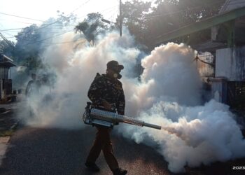 Cegah DBD, Relawan Ansor Banser Tanjungpinang Laksanakan Fogging dan Sosialisasi