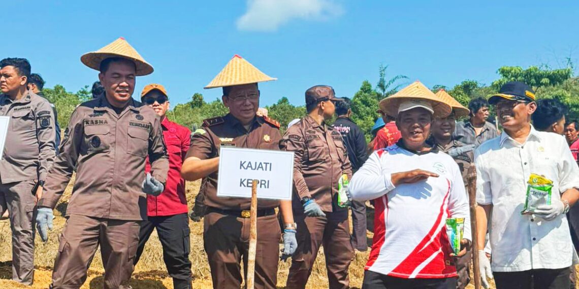 Dukung Program “Jaksa Mandiri Pangan”, Kejati Kepri dan Kejari Batam Tanam Jagung di Rempang, Batam