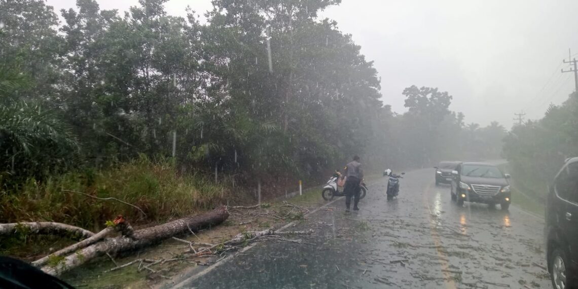 Bhabinkamtibmas Bantu Evakuasi Pohon Tumbang di Tengah Hujan Lebat