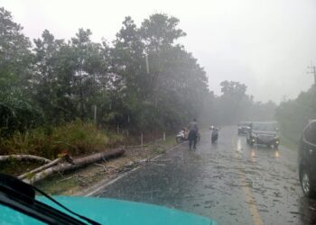 Bhabinkamtibmas Bantu Evakuasi Pohon Tumbang di Tengah Hujan Lebat