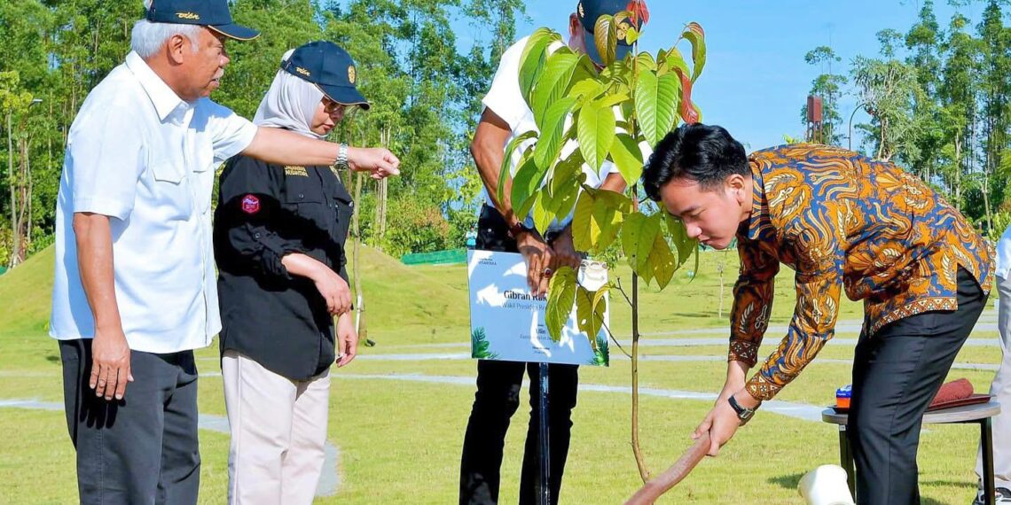 Hari Kedua di IKN, Wapres Gibran Tanam Pohon Ulin sebagai Simbol Keteguhan Bangsa