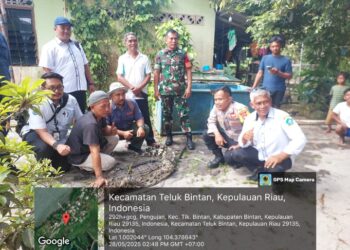 Buaya Peliharaan Warga Desa Penghujan Dievakuasi, Pemdes dan BPSPL Turun Tangan