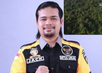 Taman Nasional Tesso Nilo Kritis: 574 Hektare Diduga Diserobot, 173 Nama Muncul dalam Investigasi