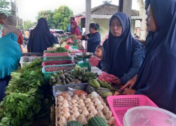 Disdagin Tanjungpinang Gelar Operasi Pasar Murah Jelang Idul Adha