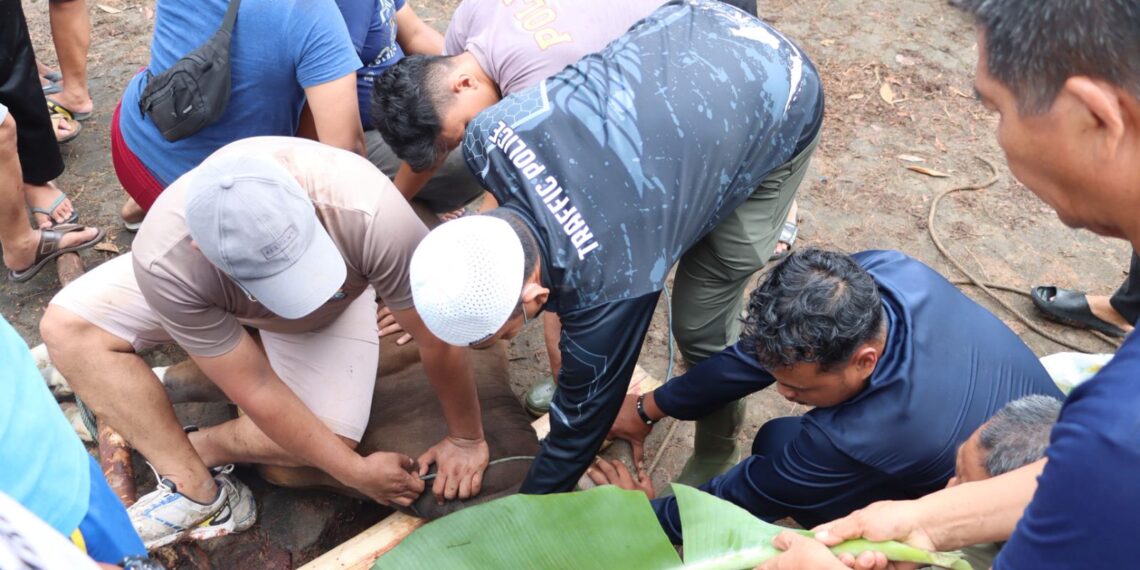 Rayakan Idul Adha 1446 H, Polres Bintan Sembelih 10 Hewan Kurban
