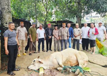 BPW KKSS Kepri Serahkan Hewan Qurban, Pererat Silaturahmi Warga Sulawesi Selatan di Batam