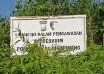 Kasus Mafia Tanah di Tanjungpinang Mandek, Korban Belum Mendapat Keadilan