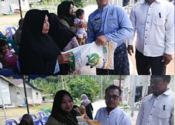 Bupati Anambas Aneng Salurkan 1.494 Karung Beras untuk Masyarakat, Antisipasi Dampak Cuaca Ekstrem