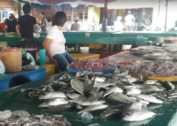 Warga Minta KKP Segera Realisasikan Pembangunan Pasar Ikan Ranai di Natuna