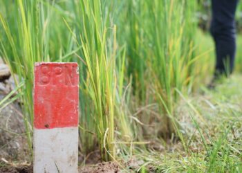 Kurangi Masalah Batas Tanah, Menteri Nusron Imbau Masyarakat Pasang Patok Permanen