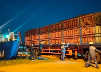 Japfa Targetkan Ekspor Ayam Rutin ke Singapura, Tetap Prioritaskan Kebutuhan Lokal