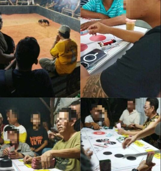 Diduga Ada Perjudian di Tanjungpinang Ramai Sabung Ayam dan Permainan Dadu Ilegal
