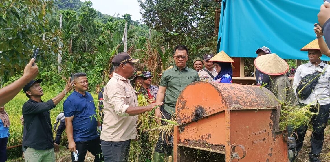 Hadiri Panen Perdana Kelompok Cahaya Pagi Desa Rewak, Bupati Aneng : Dukung Program Swasembada Pangan