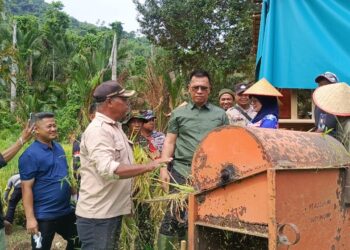 Hadiri Panen Perdana Kelompok Cahaya Pagi Desa Rewak, Bupati Aneng : Dukung Program Swasembada Pangan