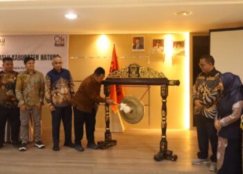 Bawaslu Natuna Bahas Tantangan Pemilu Pasca Putusan MK 135/PUU-XXII/2024