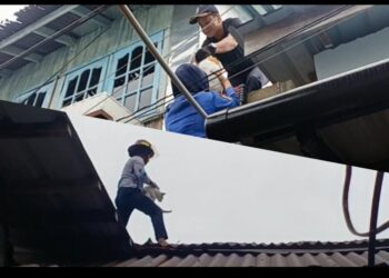 Damkar Anambas Evakuasi Kucing Terjebak Diloteng, Matari Imbau Waspada Potensi Bahaya Kebakaran