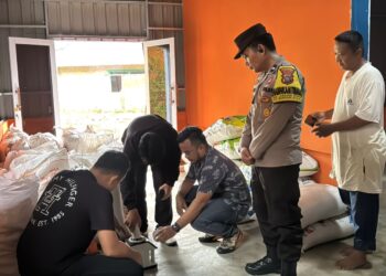 Polres Bintan Lakukan Pengecekan dan Pergeseran Hasil Panen Jagung Pipil Kelompok Tani Milenial Kreatif Desa Lancang Kuning