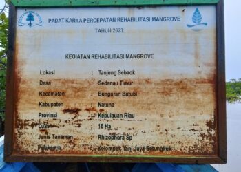 Diduga Sarat Penyimpangan, Program Mangrove di Tanjung Sebauk Disorot
