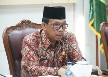 Wakil Bupati Natuna, Jarmin, SE