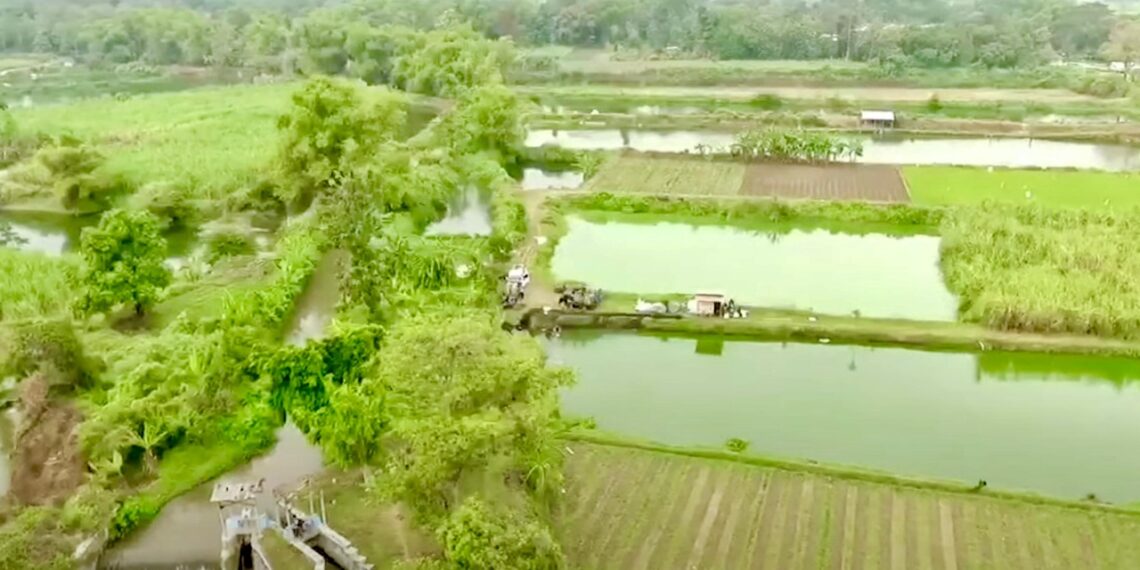 Mengenal Desa Rejoagung, Potensi Desa Meningkat Setelah Program Penataan Akses Reforma Agraria