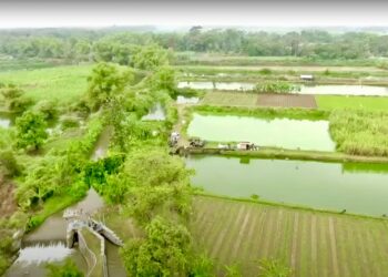 Mengenal Desa Rejoagung, Potensi Desa Meningkat Setelah Program Penataan Akses Reforma Agraria