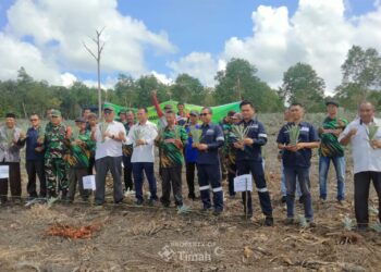 Bersama Kelompok Tani Bina Tani Tailong, PT TIMAH Tbk Tanam Lima Puluh Ribu Bibit Nanas di Kundur