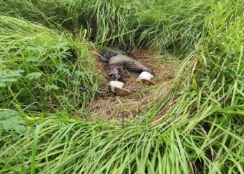 Hidup Menyendiri, Duda di Tanjungpinang Barat Ditemukan Tak Bernyawa di Hutan