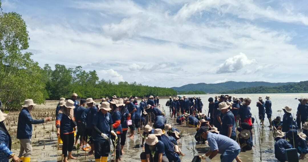 Medco E&P Natuna Bersama Generasi Muda Anambas Tanam 5.000 Bibit Mangrove