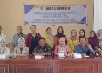 Anggota DPRD Natuna Henry FN Serap Aspirasi Masyarakat Desa Tanjung 