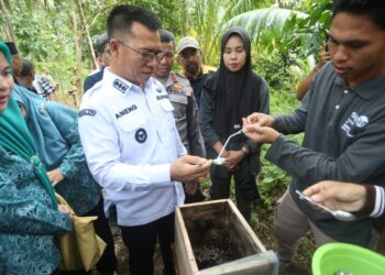 Perkuat UMKM Desa, Bupati Anambas Tinjau Budidaya Madu dan Kepiting Bakau Desa Langit