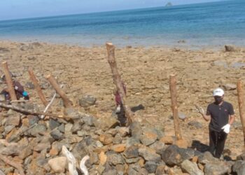 Antisipasi Musim Utara, Camat Pultibar Bersama Empat Kades Gelar Gotong Royong Massal Perbaiki Akses Jalan