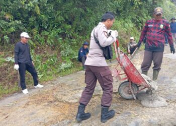 Minggu Penutup, Pemerintah Kecamatan Pultibar Fokus Goro Perbaiki Jalan di Desa TKU