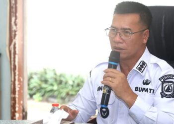 Bupati Kepulauan Anambas, Aneng