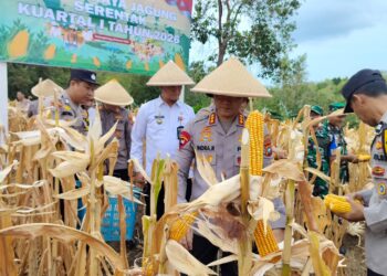 Dukung Ketahanan Pangan, Polres Tanjungpinang Panen Jagung di Bukit Lestari 