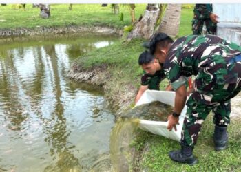 Tebar 4.000 Bibit Nila Merah, Lanud RSA Perkuat Ketahanan Pangan di Natuna 