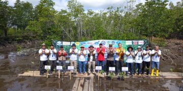 Semarak HPN 2026, KJK Tanam Mangrove sebagai Wujud Kepedulian Lingkungan