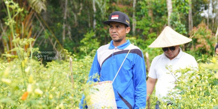 Sinergi untuk Wujudkan Ketahanan Pangan, PT TIMAH Optimalkan Potensi Pertanian Lokal dengan Lakukan Hal Ini