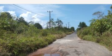 Ruas Jalan Menuju Pelabuhan Penyeberangan Binjai-Sedanau Memprihatinkan, Warga Minta Segera Diperbaiki