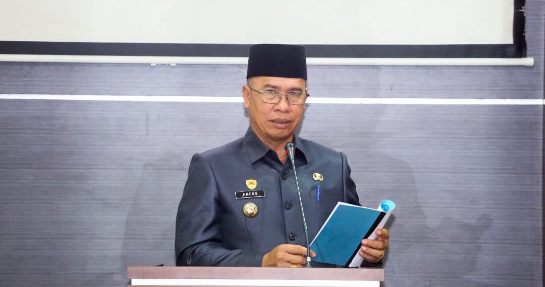 Bupati Anambas Aneng saat menyampaikan Nota Pengantar LKPJ di Paripurna DPRD Anambas